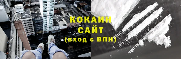 мяу мяу мука Белокуриха