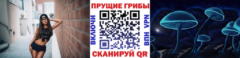 Купить где  Горно-Алтайск  Псилоцибиновые грибы MAGIC MUSHROOMS 